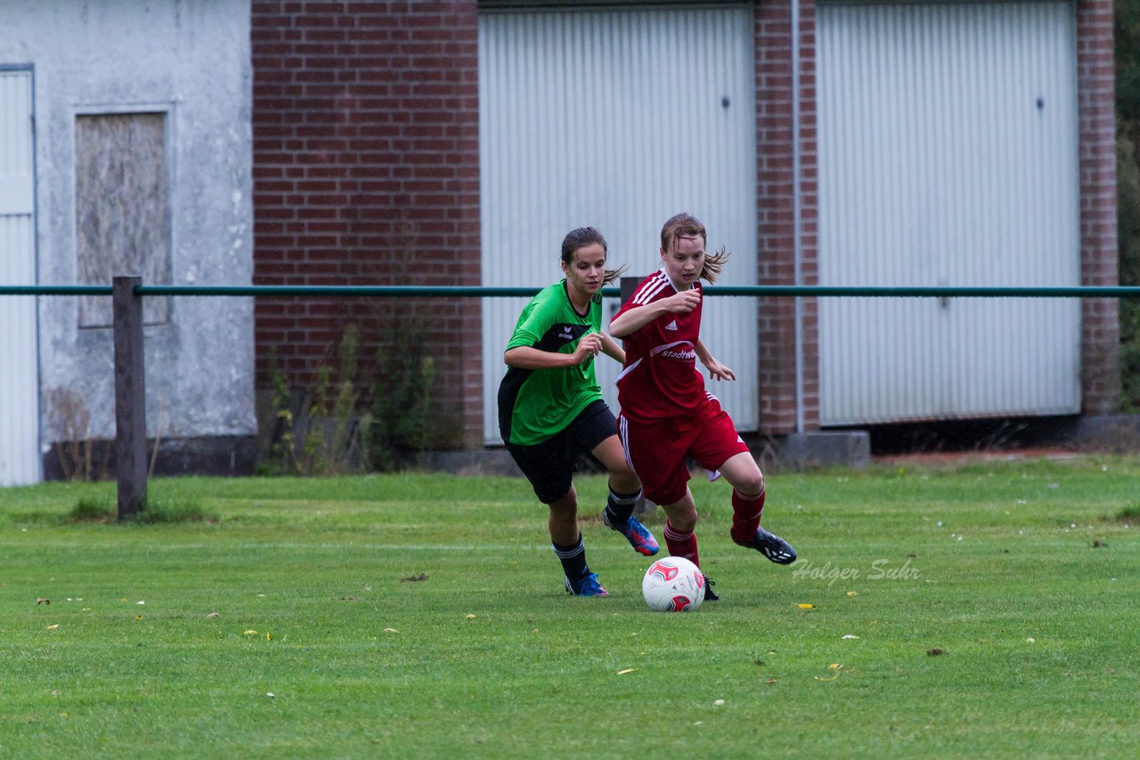 Bild 157 - Frauen SG Schmalfeld/Weddelbrook - Ratzeburger SV : Ergebnis: 1:7